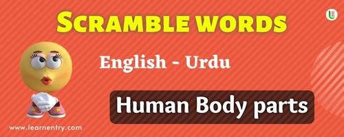 Guess the Human Body parts in Urdu