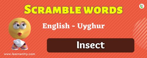 Guess the Insect in Uyghur