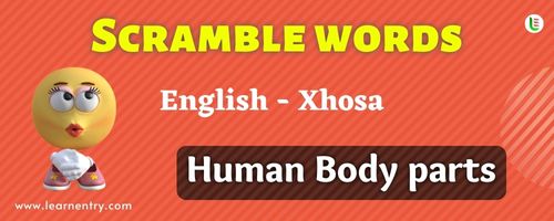 Guess the Human Body parts in Xhosa