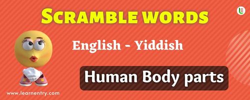 Guess the Human Body parts in Yiddish