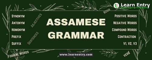 assamese grammar class 10 questions and answers