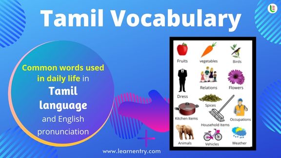 Learn English vocabulary with Tamil meaning  Learn english words, Learn  english, English vocabulary