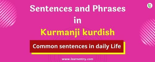 Daily use common Kurmanji kurdish Sentences and Phrases