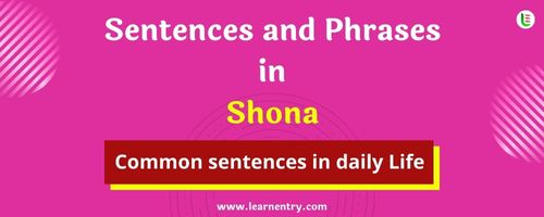 Daily use common Shona Sentences and Phrases