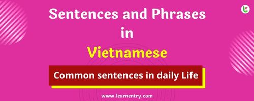 Daily use common Vietnamese Sentences and Phrases