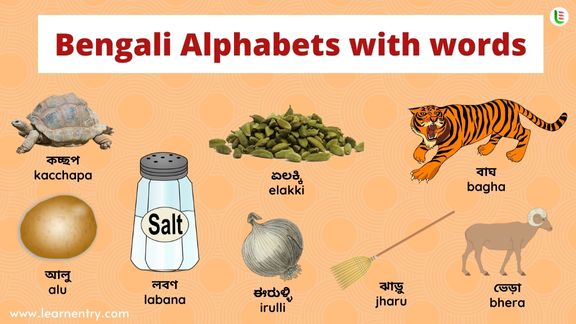 Bengali Alphabet with words