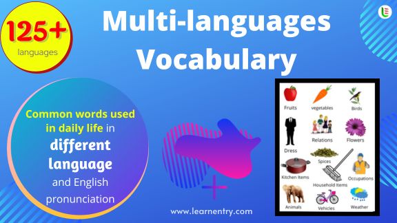 Vocabulary in multi-languages