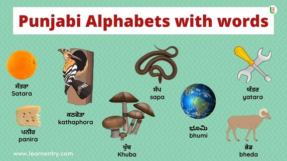 Punjabi Alphabet with words