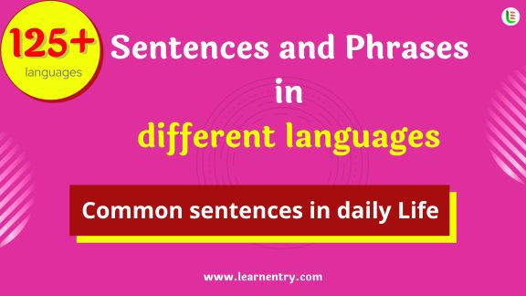 Sentence in multi-languages