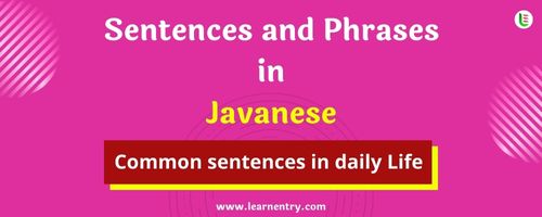 Daily use common Javanese Sentences and Phrases