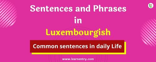 Daily use common Luxembourgish Sentences and Phrases