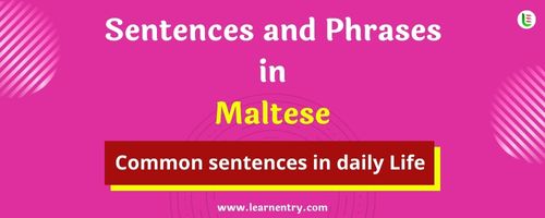 Daily use common Maltese Sentences and Phrases