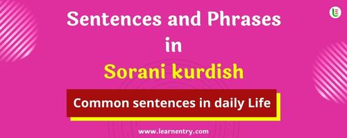 Daily use common Sorani kurdish Sentences and Phrases