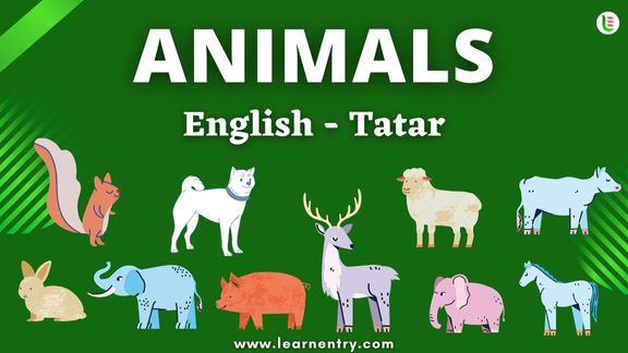 Animals names in Tatar and English