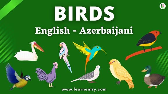Birds names in Azerbaijani and English