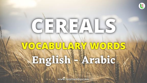 Cereals names in Arabic and English