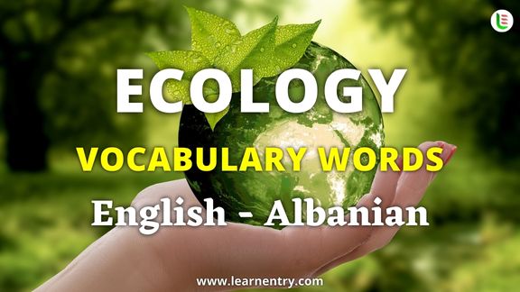 Ecology vocabulary words in Albanian and English