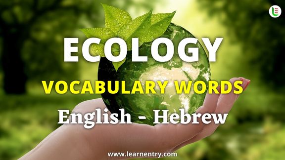 Ecology vocabulary words in Hebrew and English