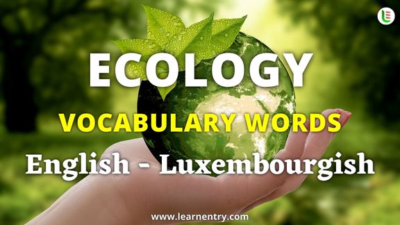 Ecology vocabulary words in Luxembourgish and English
