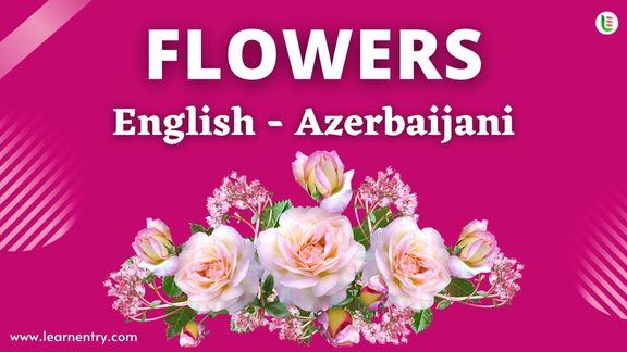 Flower names in Azerbaijani and English
