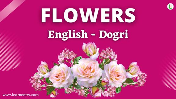 Flower names in Dogri and English