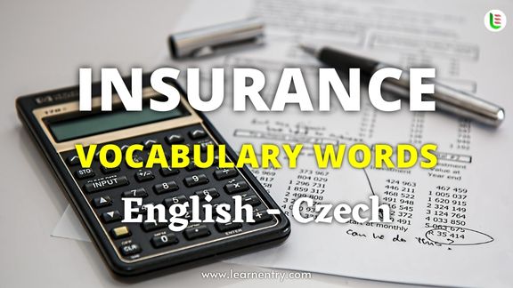 Insurance vocabulary words in Czech and English