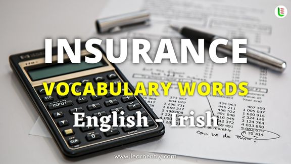 Insurance vocabulary words in Irish and English