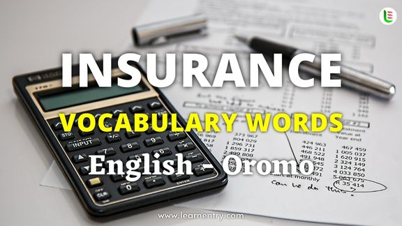 Insurance vocabulary words in Oromo and English