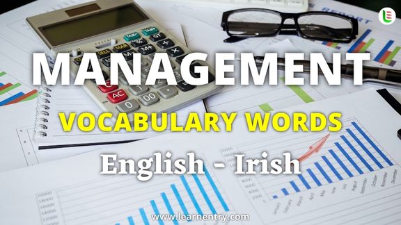 Management vocabulary words in Irish and English