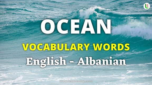 Ocean vocabulary words in Albanian and English