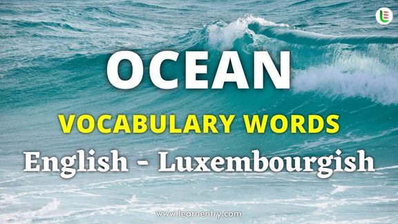 Ocean vocabulary words in Luxembourgish and English