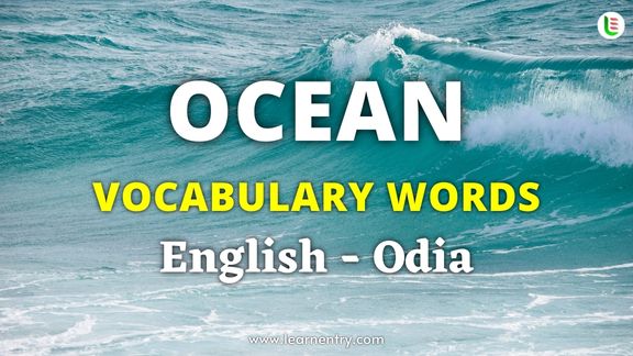 Ocean vocabulary words in Odia and English