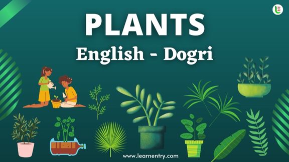 Plant names in Dogri and English