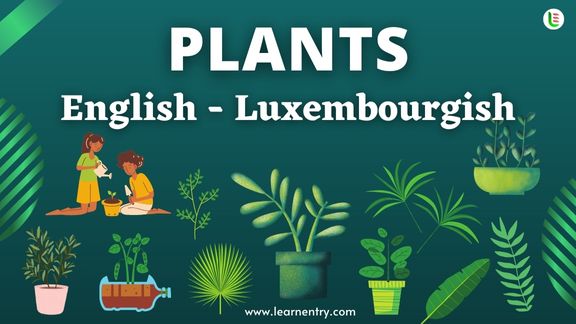 Plant names in Luxembourgish and English
