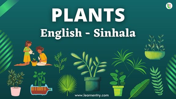 Plant names in Sinhala and English