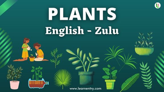 Plant names in Zulu and English