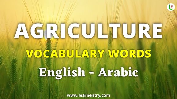 Agriculture vocabulary words in Arabic and English - Common Arabic Vocabulary