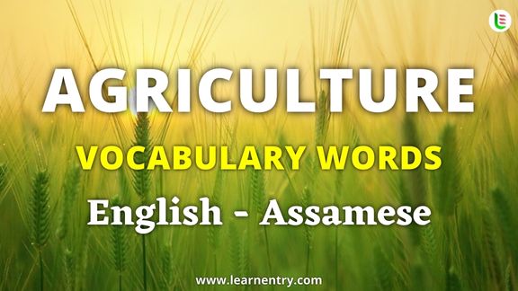 Agriculture vocabulary words in Assamese and English - Common Assamese Vocabulary