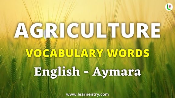 Agriculture vocabulary words in Aymara and English - Common Aymara Vocabulary