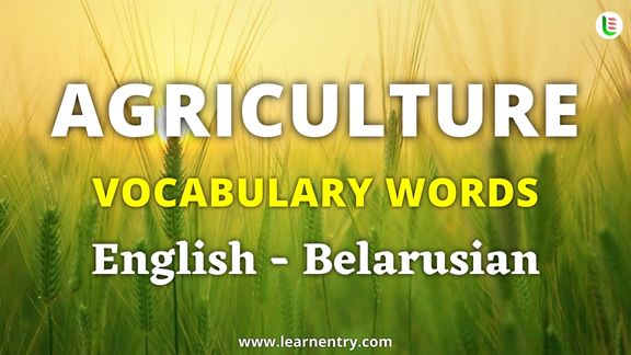Agriculture vocabulary words in Belarusian and English - Common Belarusian Vocabulary