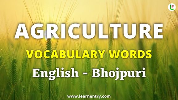 Agriculture vocabulary words in Bhojpuri and English - Common Bhojpuri Vocabulary