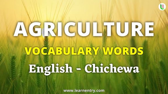 Agriculture vocabulary words in Chichewa and English - Common Chichewa Vocabulary
