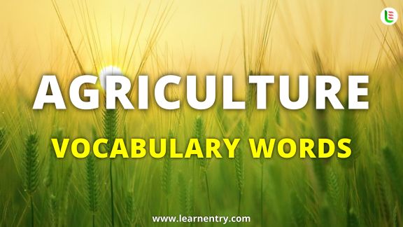Agriculture vocabulary words in English vocabulary in English | Learn Entry