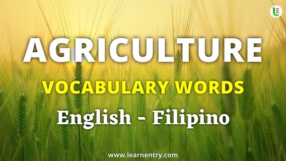 Agriculture vocabulary words in Filipino and English - Common Filipino Vocabulary
