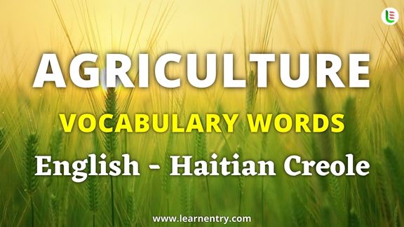 Agriculture vocabulary words in Haitian creole and English - Common Haitian creole Vocabulary