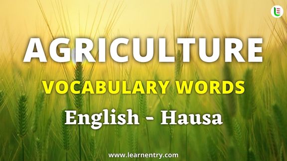 Agriculture vocabulary words in Hausa and English - Common Hausa Vocabulary