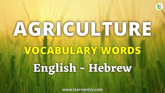 Agriculture vocabulary words in Hebrew and English - Common Hebrew Vocabulary