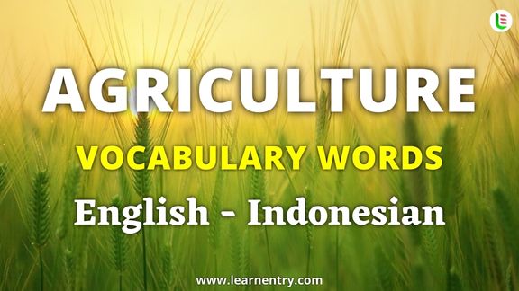 Agriculture vocabulary words in Indonesian and English - Common Indonesian Vocabulary