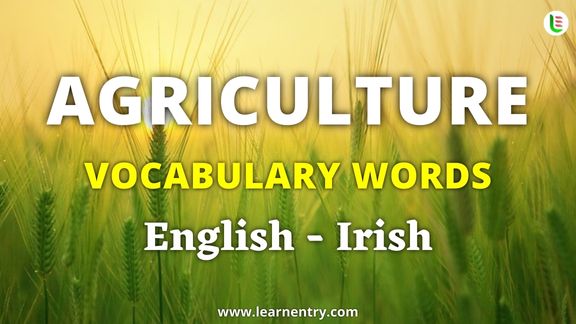 Agriculture vocabulary words in Irish and English - Common Irish Vocabulary