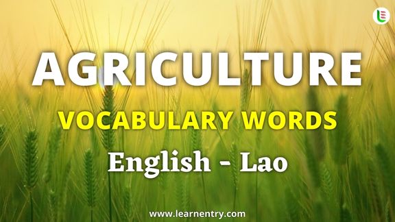 Agriculture vocabulary words in Lao and English - Common Lao Vocabulary